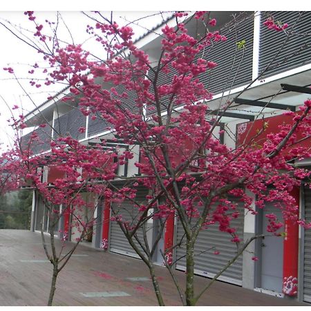Miaoli Sanyi Shantongyazhu Homestay Exterior foto